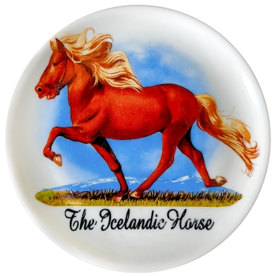 Icelandic HorseWorld, Hella