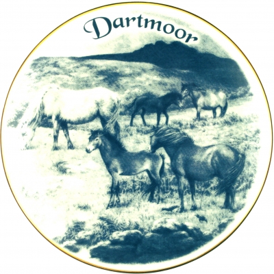 Dartmoor National Park, Devon